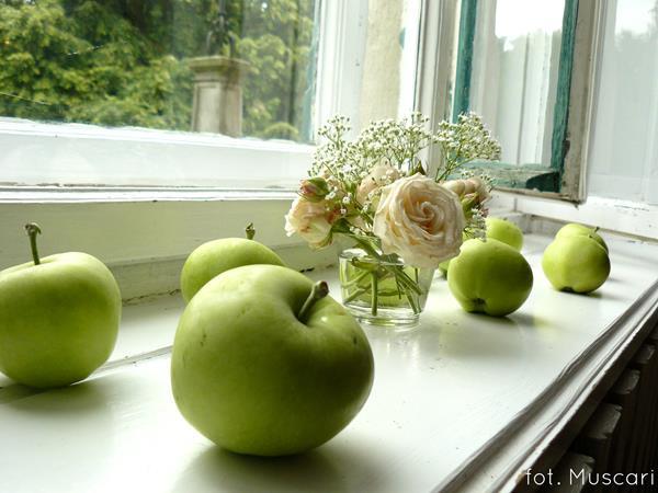 dekoracja sali - kwiaty i jabłka