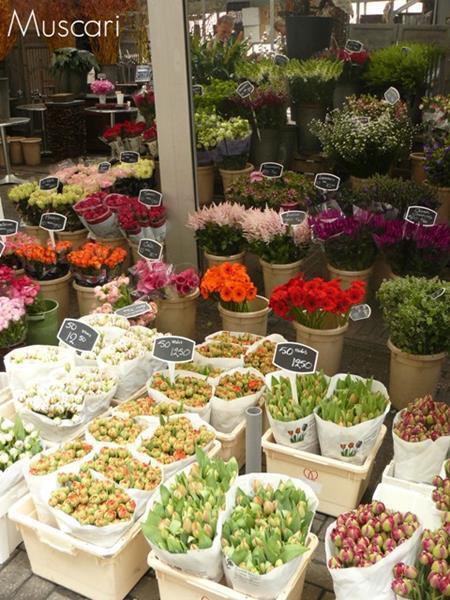 giełda kwiatowa w Amsterdamie