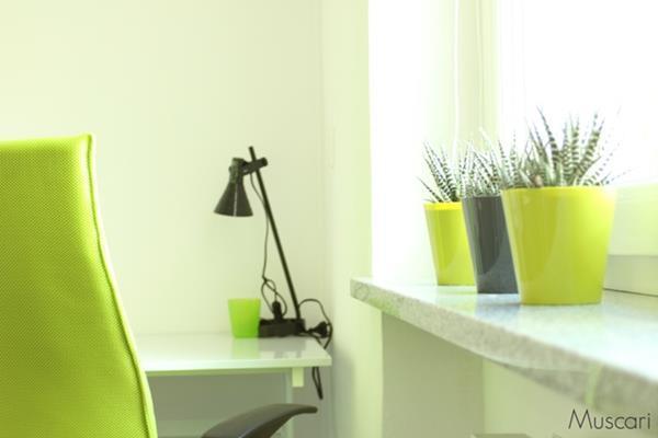 kwiaty doniczkowe - zielony dodatek w biurze