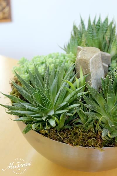 stroik z roślin zielonych do biura
