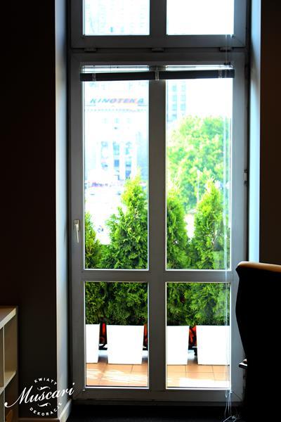 aranżacja balkonu - rośliny do biura